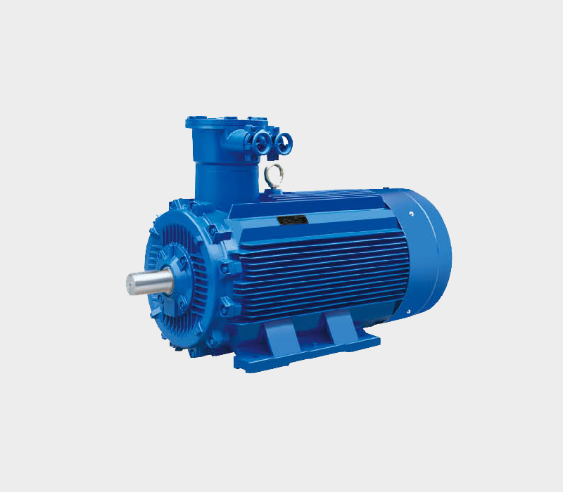 YB4 Series Flameproof Three-phase Asynchronous Motor